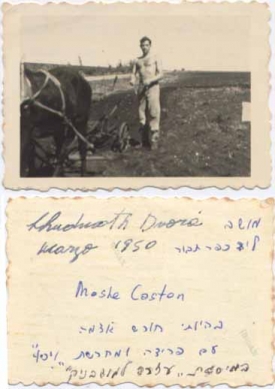 dad harvesting the land